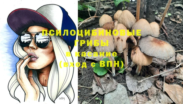 дживик Алзамай