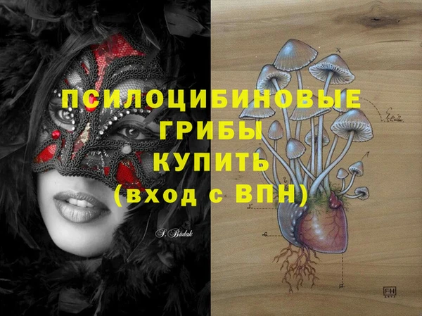 эйфоретик Алексин