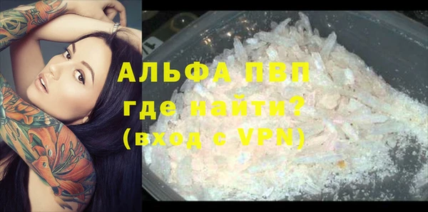 эйфоретик Алексин