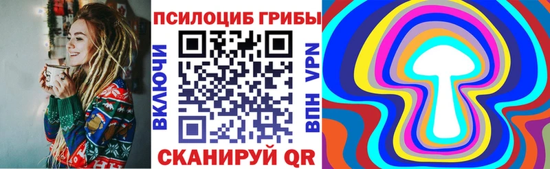 купить закладку  Ермолино  Псилоцибиновые грибы Cubensis 
