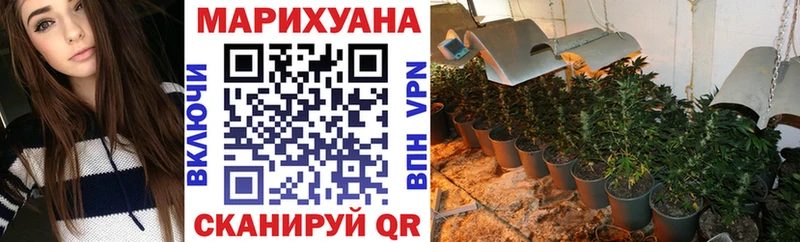 Бошки марихуана VHQ  Ермолино 